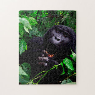 Puzzle Gorilla africaine