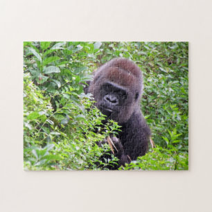 Puzzle Gorilla Peek-A-Boo