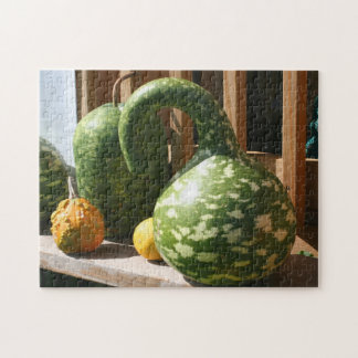 Puzzle Gourdes géantes Automne