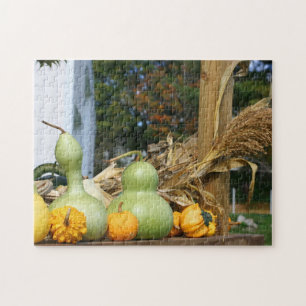 Puzzle Gourds Corn Stalks Farm Stand Automne