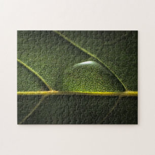 Puzzle Gouttelettes de feuille