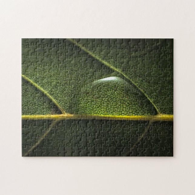 Puzzle Gouttelettes de feuille (Horizontal)