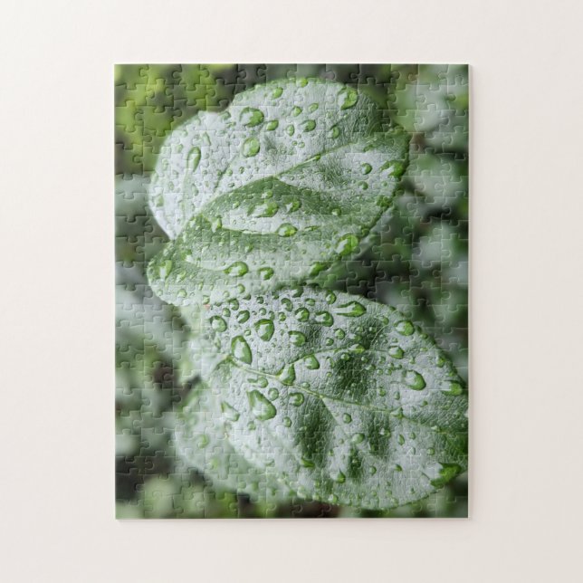 Puzzle Gouttes de pluie sur feuilles vert foncé (Vertical)