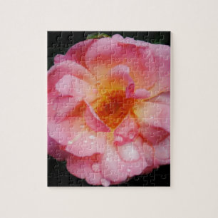 Puzzle Gouttes de pluie sur la photo de fleur de rose de