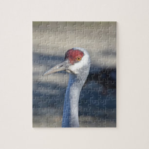 Puzzle Graine de Sandhill