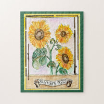 Graines de tournesol