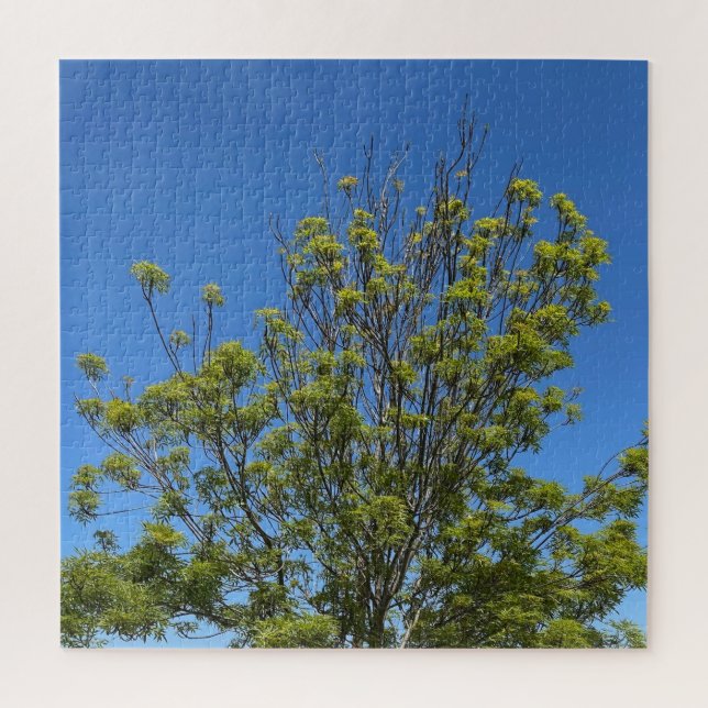 Puzzle Grand Ash Tree Dans La Belle Photo Ciel Bleu (Vertical)