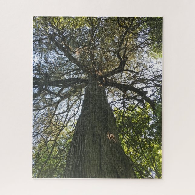 Puzzle Grand Beau Arbre (Vertical)