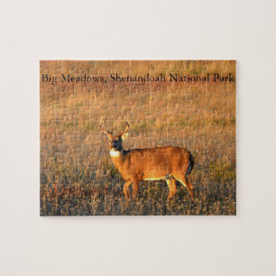 Puzzle Grand Buck, Big Meadows, parc national de Shenando