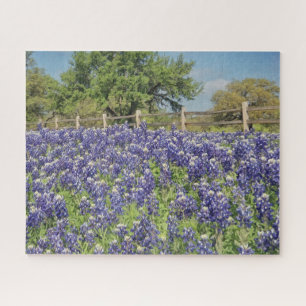 Puzzle Grand casse-tête du Texas Bluebonnets