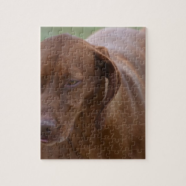 Puzzle Grand chien de Vizsla (Vertical)
