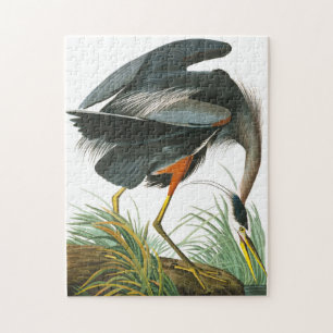 Puzzle Grand héron bleu par John James Audubon
