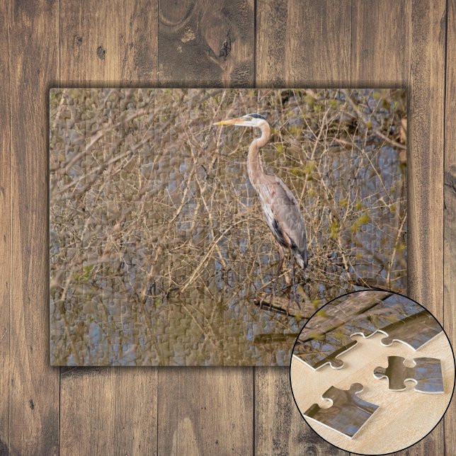 Puzzle Grand Héron Bleu sur un membre (Great Blue Heron on a limb Jigsaw Puzzle)