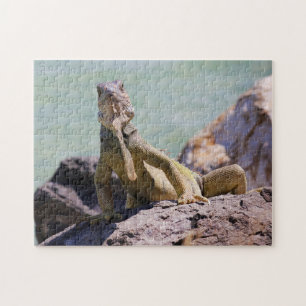 Puzzle Grand iguane portoricain