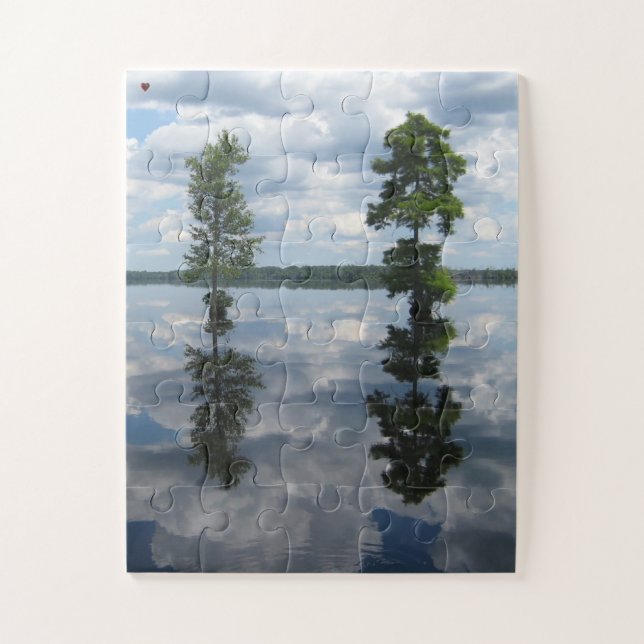 Puzzle Grand Marais de la Désolation Caroline du Nord (Vertical)