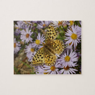 Puzzle Grand Nacré sur des Fleurs d'Aster au Grand Teton