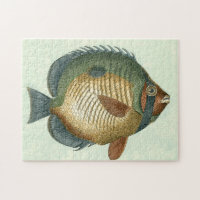 Grand Poisson Coloré