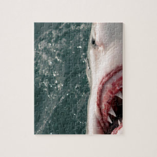 Puzzle Grand requin blanc
