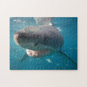 Puzzle Grand requin blanc, 252 pièces