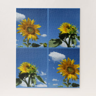 Puzzle grand tournesol brille jaune ciel bleu blanc petit
