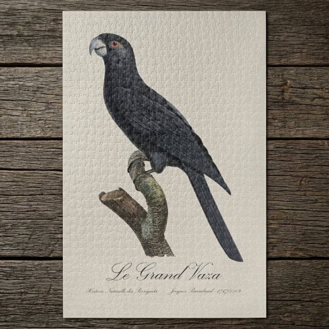 Puzzle Grand Vasa, Coracopsis Vasa Illustration (Greater Vasa Parrot, Coracopsis Vasa Illustration. Jigsaw Puzzle)