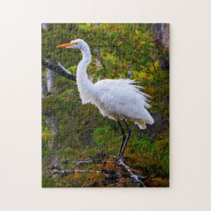 Puzzle Grande Aigrette de Louisiane.