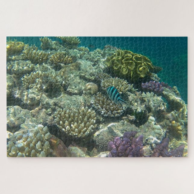 Puzzle grande barrière de corail (Horizontal)
