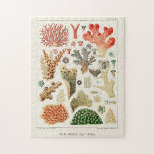 Puzzle Grande barrière vintage de corail d'Australie