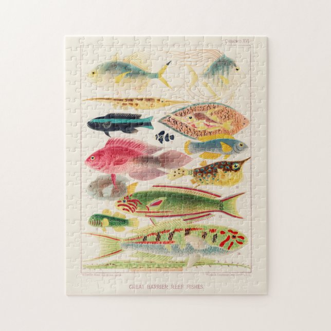 Puzzle Grande barrière vintage de l'Australie Poissons (Vertical)