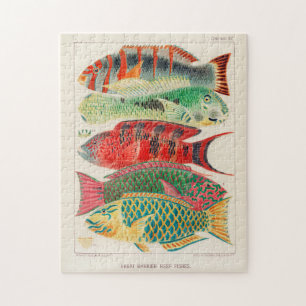 Puzzle Grande barrière vintage de l'Australie Poissons