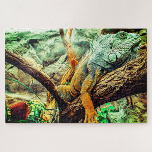 Puzzle Grande Iguana