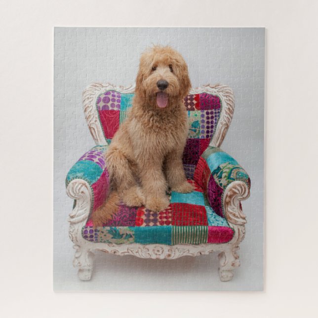 Puzzle Grandes images| Coute Goldendoodle (Vertical)