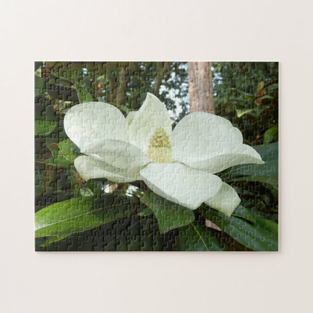Puzzle grandiflora de photo de magnolia avec la (Horizontal)