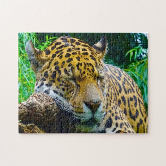 Puzzle Grands félins jaguar. (Horizontal)