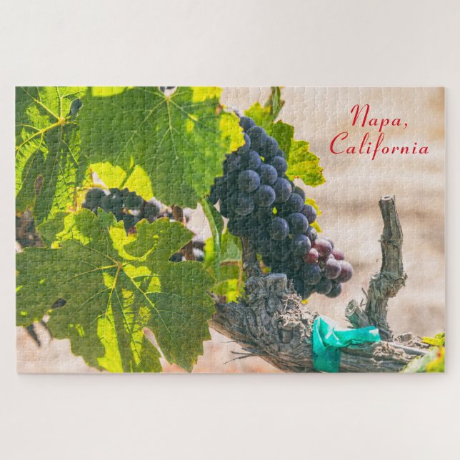 Puzzle Grapevine Napa Valley, Californie (Horizontal)