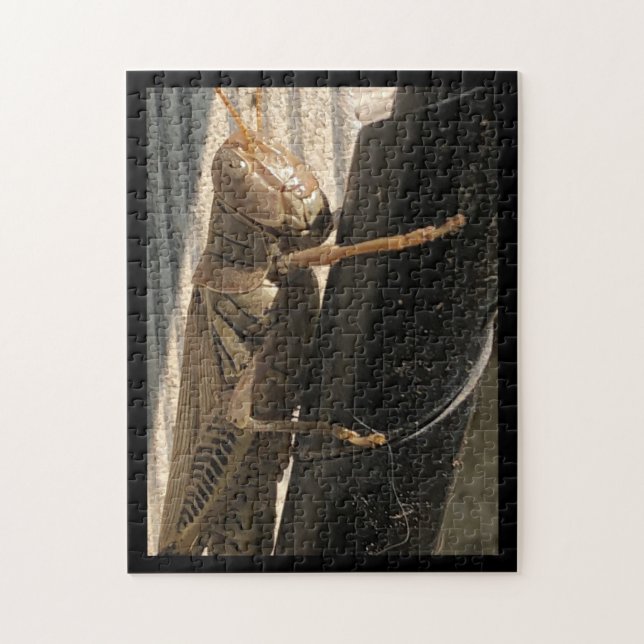 Puzzle Grasshopper (Vertical)