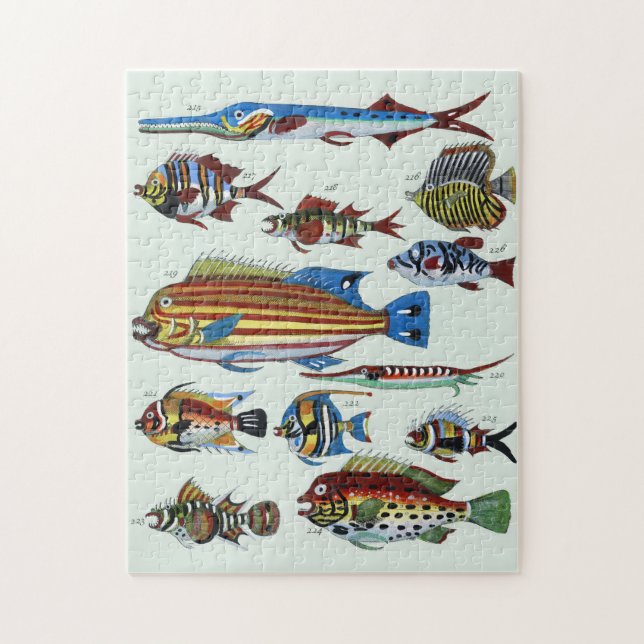 Puzzle Gravure de Histoire Naturelle de Poissons Exotique (Vertical)