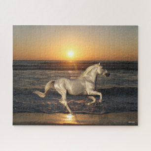 Puzzle Gray Andalucien Courant Sur La Plage En Mer