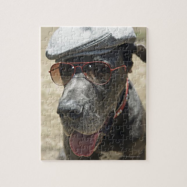 Puzzle Great Dane portant casquette et lunettes de soleil (Vertical)