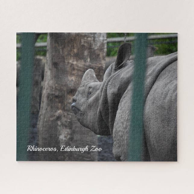 Puzzle Greater One-Horned Rhinoceros at Edinburgh Zoo (Horizontal)