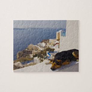 Puzzle Grèce, Santorin Island, Oia City, chien en sommeil