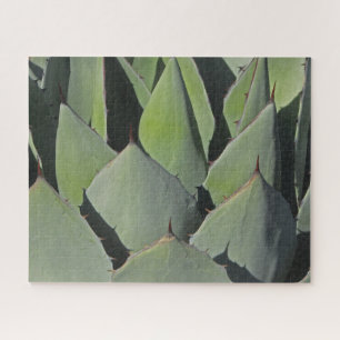 Puzzle Green Agave Feuille Botanique Photo Sud-ouest