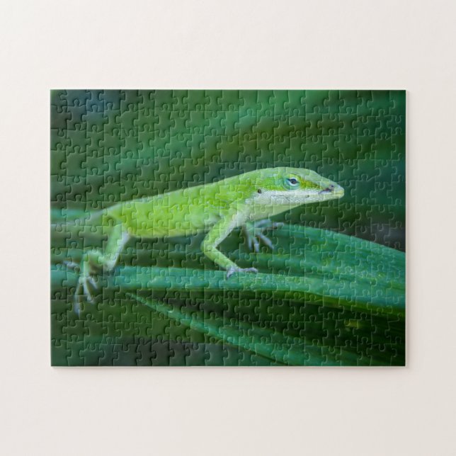 Puzzle Green Anole Lizard (Horizontal)