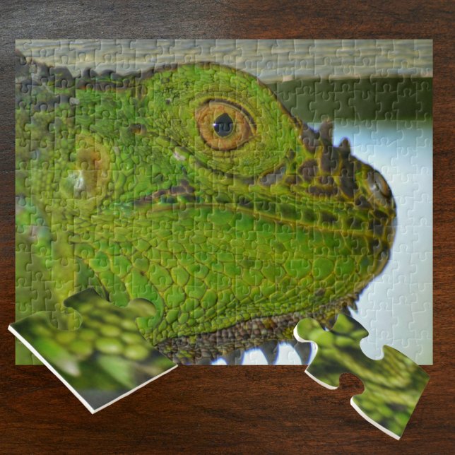 Puzzle Green Iguana Up photo proche et personnelle (Créateur téléchargé)