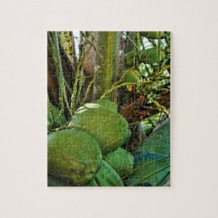 Puzzle Green Island Cocout Palm Tree