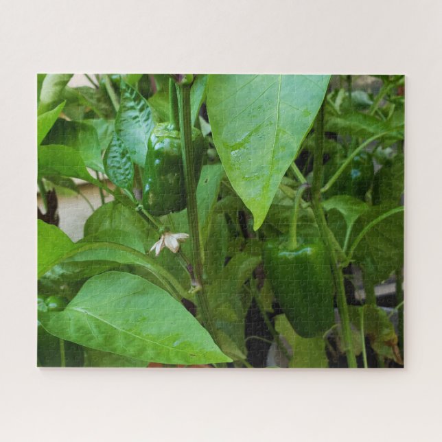 Puzzle Green peppers (Horizontal)