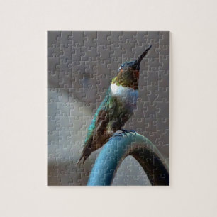 Puzzle Green ruby little hummingbird