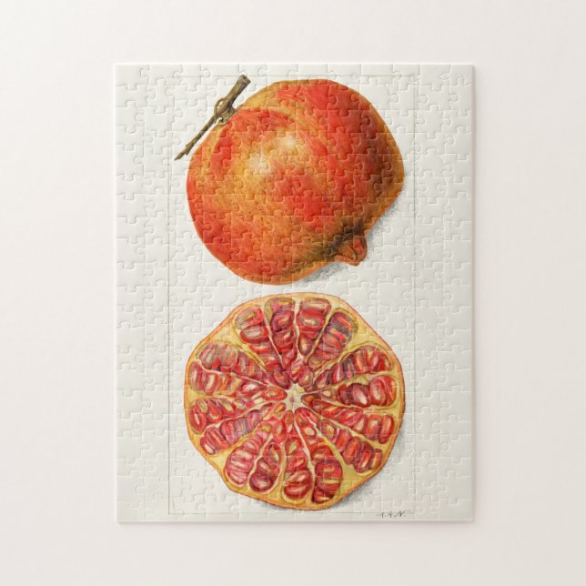 Puzzle Grenades (Punica Granatum) Peinture de fruits (Vertical)