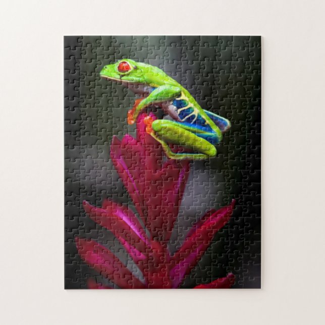 Puzzle Grenouille aux yeux rouges (Vertical)