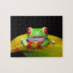 Puzzle Grenouille aux yeux rouges, Agalychinis callidryas